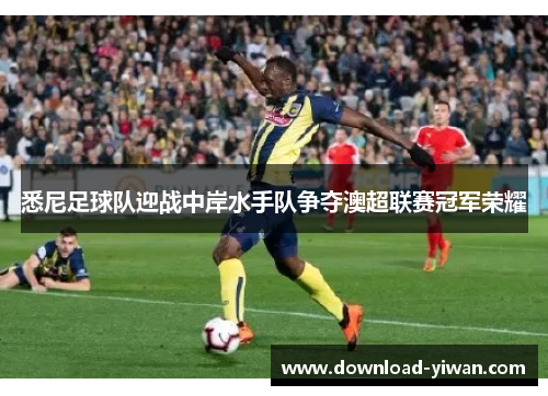 悉尼足球队迎战中岸水手队争夺澳超联赛冠军荣耀