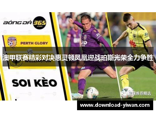 澳甲联赛精彩对决惠灵顿凤凰迎战珀斯光荣全力争胜